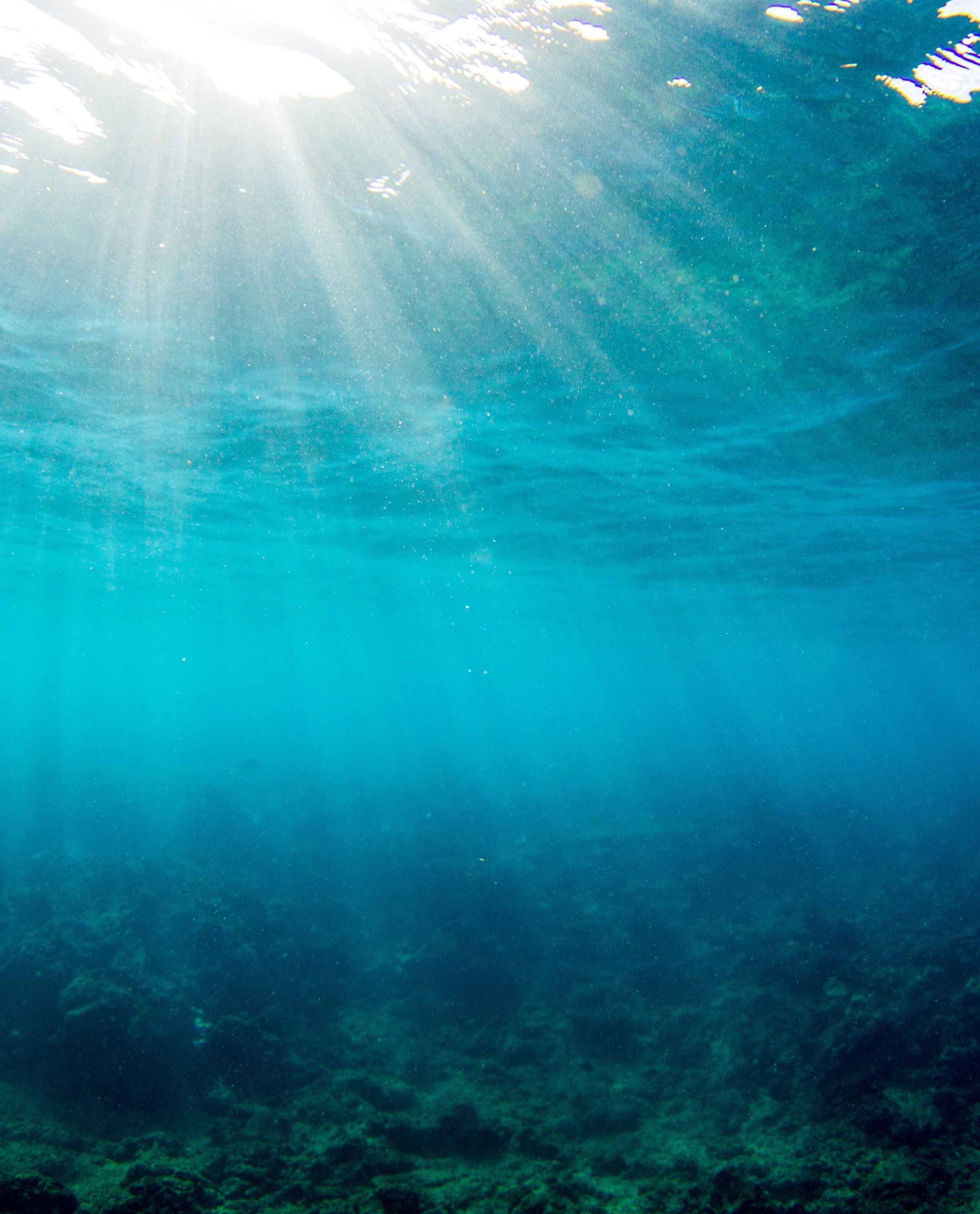 Sunlight streaming through clear ocean water, highlighting reef-safe beauty – Ask The Bum Hawaii Act 104 - Sun Bum